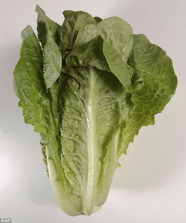 Marrulja çon në pesë numrin e vdekjeve nga Escherichia Coli në SHBA