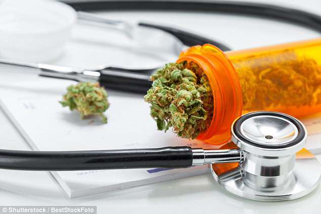 Marihuana mjekësore po i bën njerëzit të papërshtatshëm për transplantim organesh