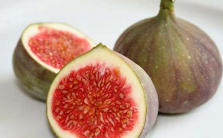 Çka duhet të dini për fikun