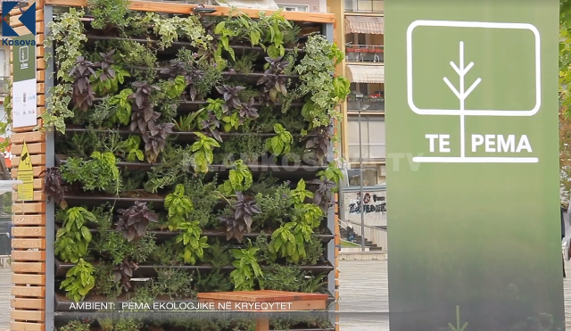 ‘’Te Pema T ‘’ instalacioni për përmirësim të ajrit  (VIDEO)