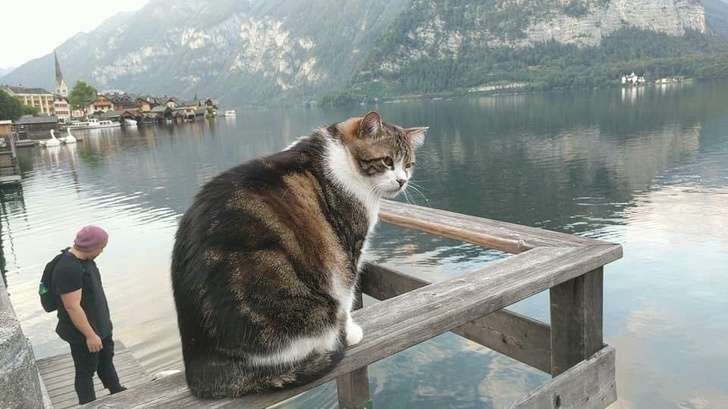 Fotografitë e paprekura që bien ndesh me perceptimin tuaj