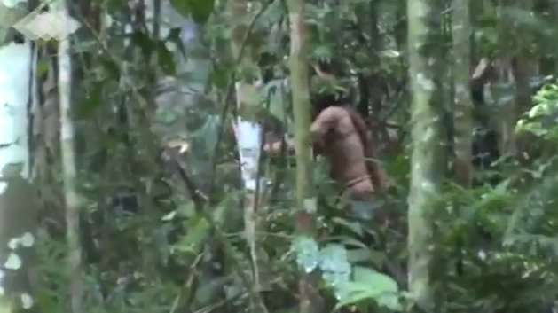 I mbijetuari i fisit amazonas që jeton i vetëm që 22 vjet