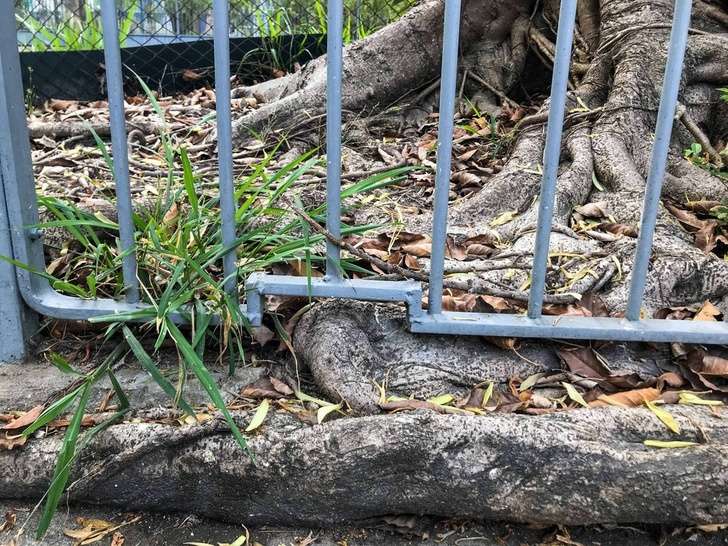 Ende mund të besojmë tek njerëzimi (FOTO)