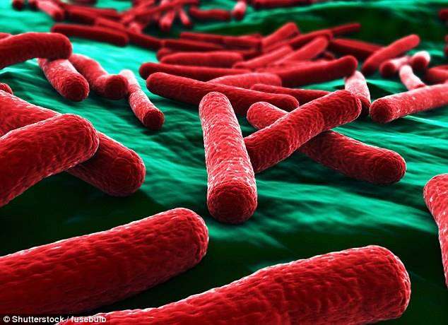 E thotë shkenca: Escherichia Coli ju ndihmon në parandalimin e anemisë
