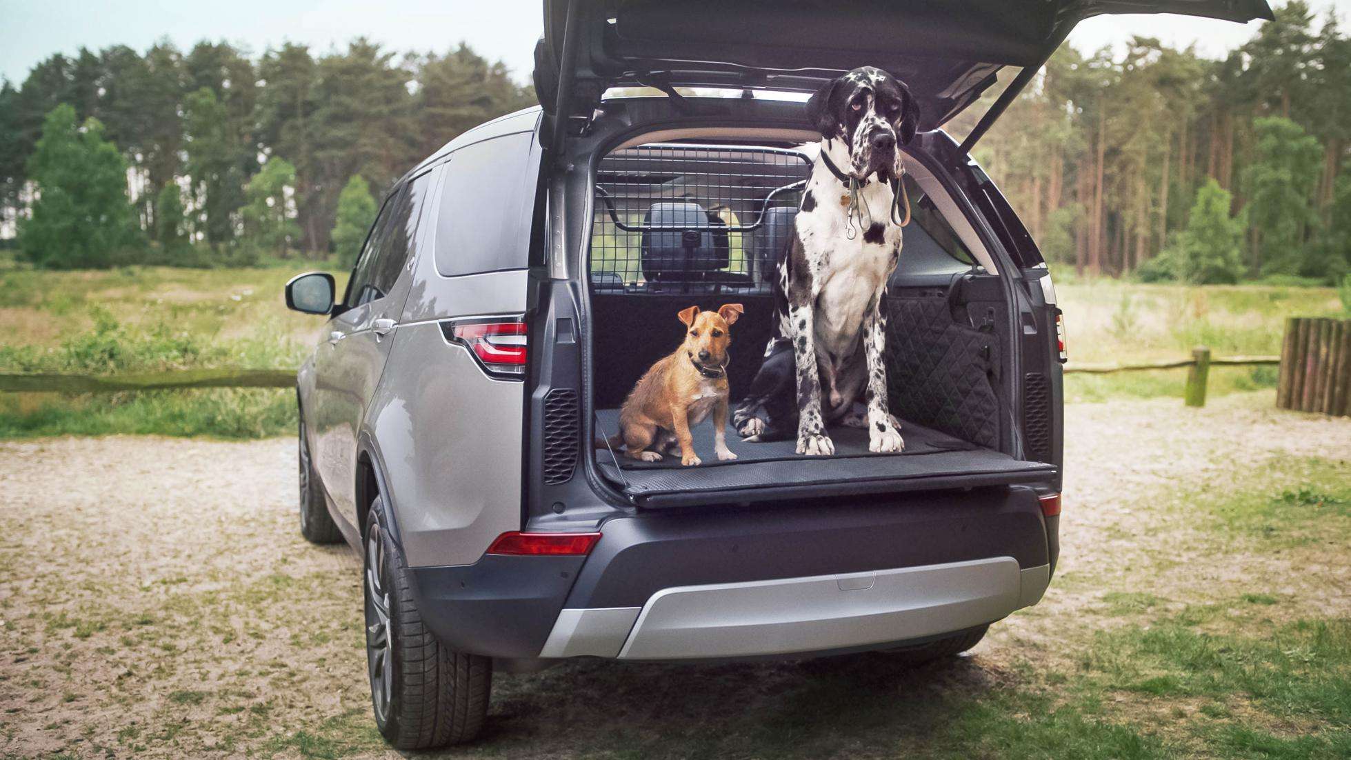 Land Rover vjen me dushin për qentë