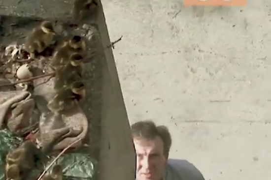 Besoni akoma në njerëz të mirë! (VIDEO)