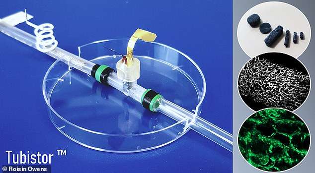 Organi 3D, një çip që mund të përfundoj testet laboratorike mbi kafshët