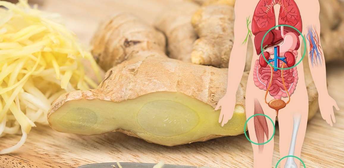 Ky është ‘super ushqimi’ që parandalon dhjetëra sëmundje