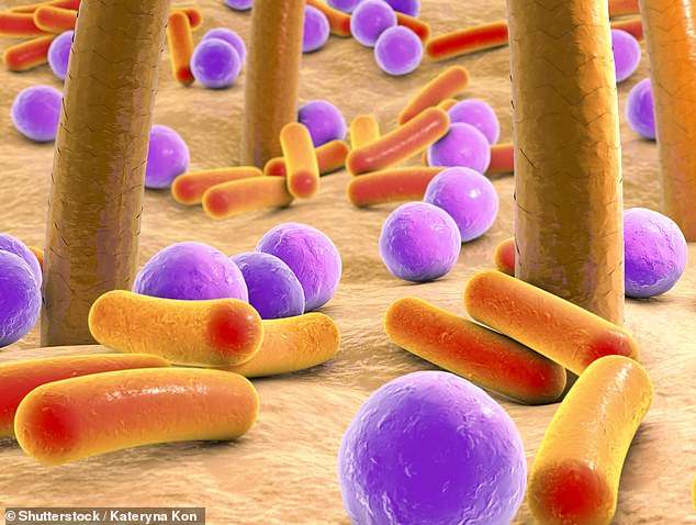Bakteri që jeton në lëkurën e të gjithëve po bëhet rezistent ndaj antibiotikëve