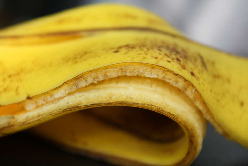Disa mënyra të pazakonta për t’i shfrytëzuar lëvoret e bananeve