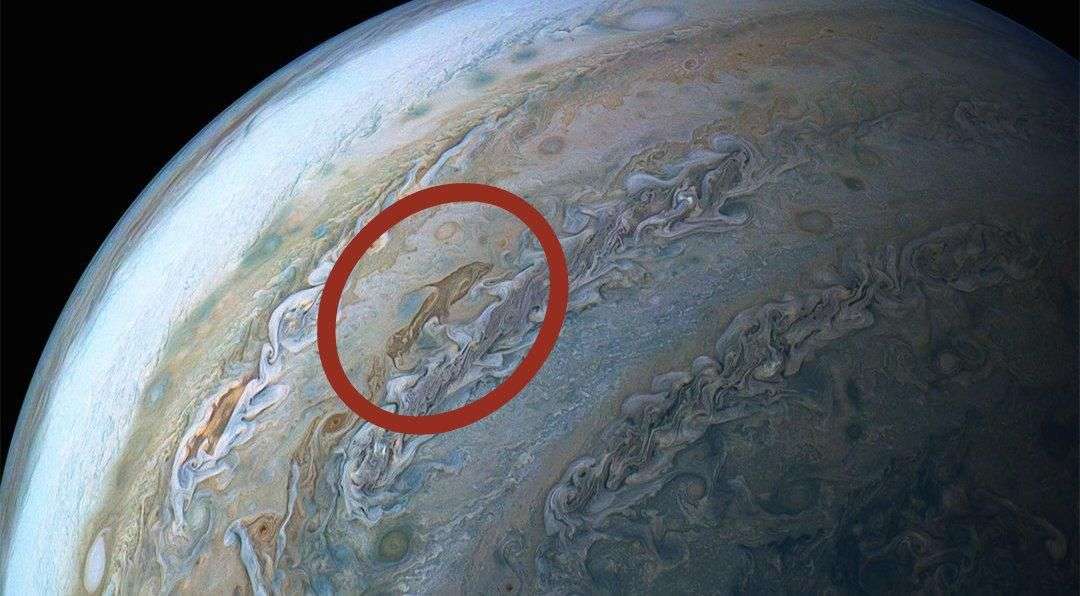 Nassa shkrep një delfin “kozmik” në planetin Jupiter
