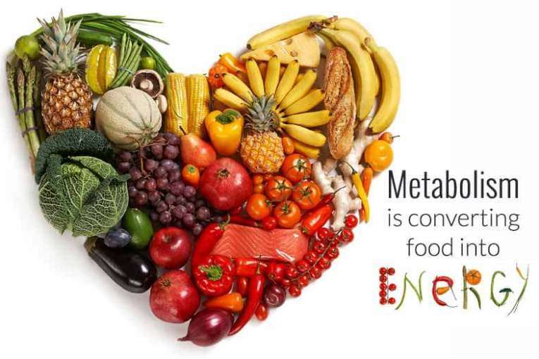 Si ta shpejtojmë metabolizmin?
