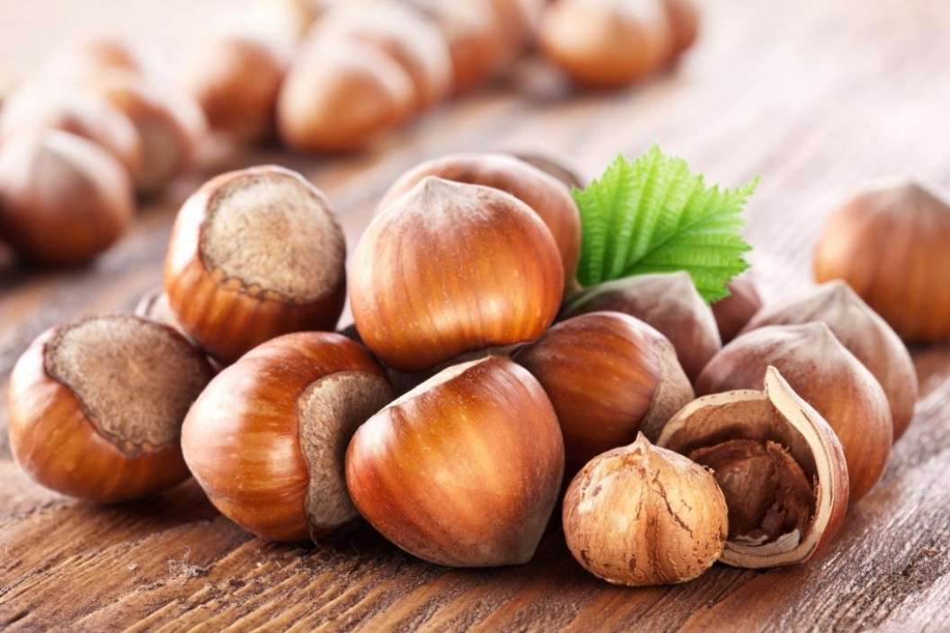 Këto janë dobitë shëndetësore të lajthive