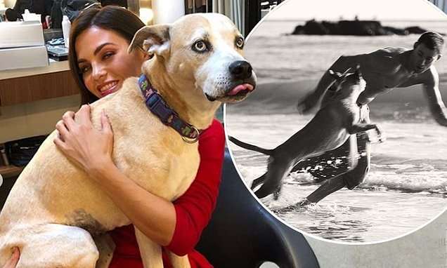 Jenna dhe Channing vajtojnë ngordhjen e qenit të tyre