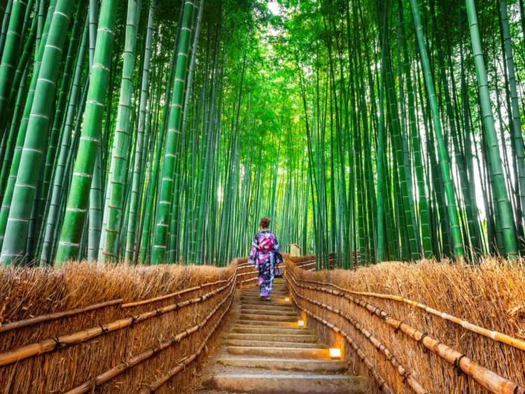 Japonia - destinacioni i 2018-ës