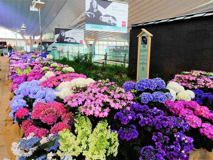 Aeroportet me pamjen më të bukur në botë