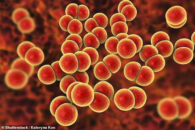Mbi 20% e përdorimit të antibiotikëve është i panevojshëm