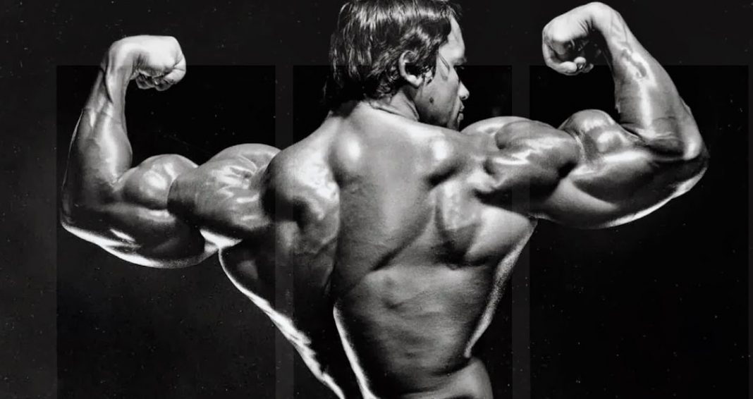 Fotografinë e Arnold Schwarzenegger e rikthen i biri, ngjashmëritë janë befasuese (FOTO)