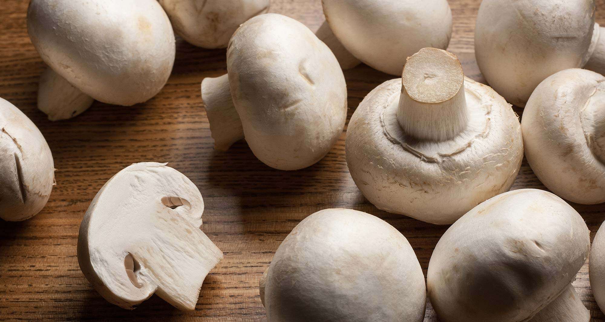 Kërpudhat luftojnë kancerin e gjirit
