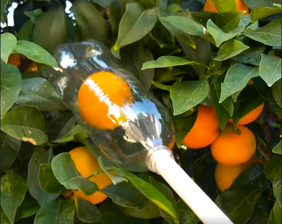 Ide FANTASTIKE për ripërdorimin e shisheve të plastikës (VIDEO)