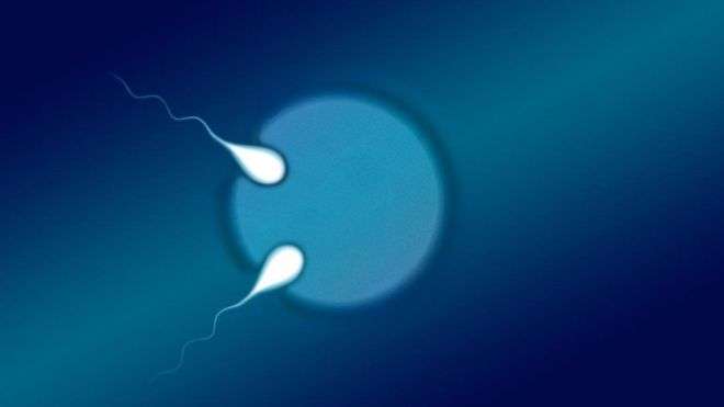 Identifikohet rasti i dytë në botë i binjakëve semi-identikë