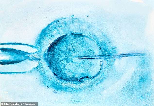 Shtatzënia përmes IVF me më shumë gjasa për komplikime