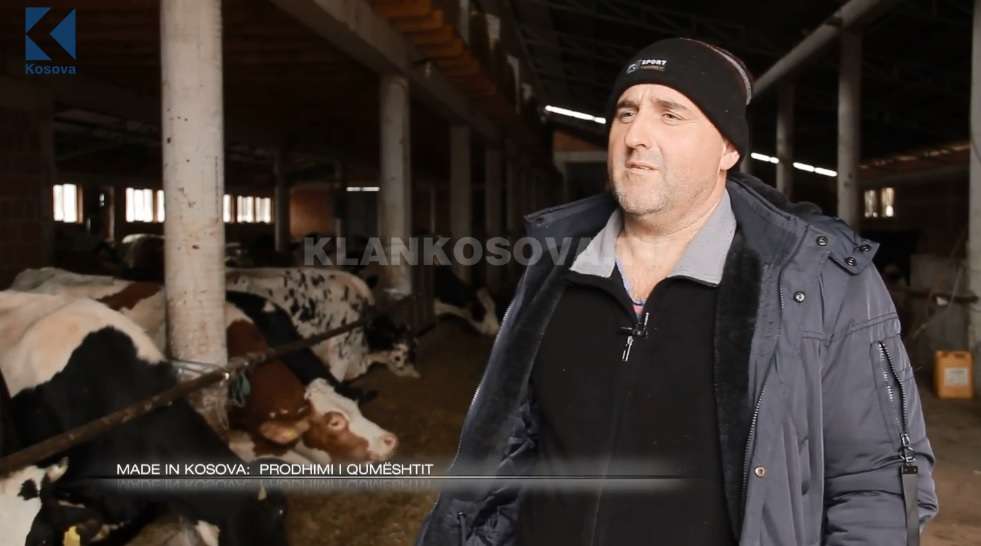 Rëndësia e prodhimit të qumështit (VIDEO)