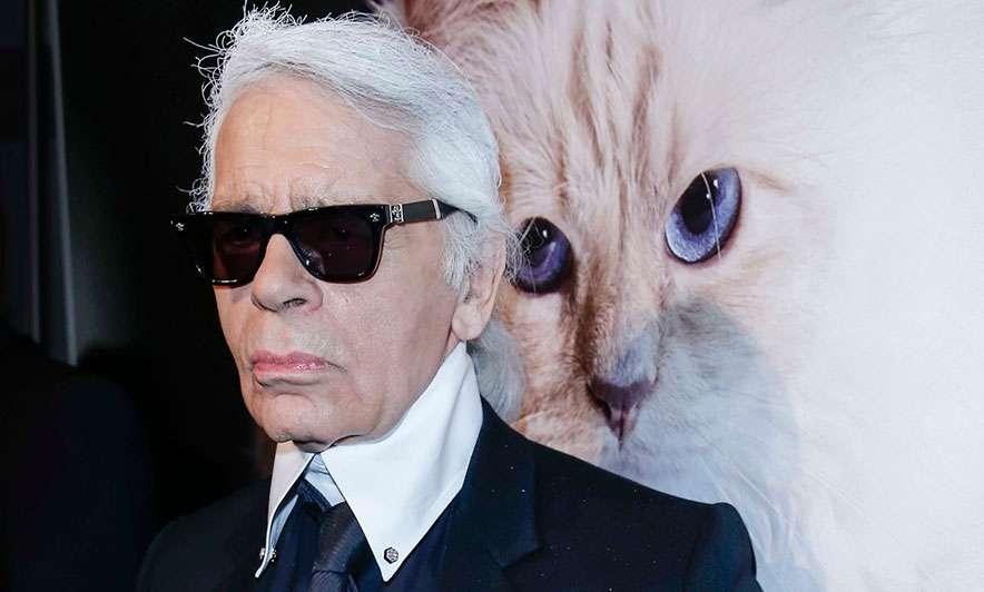 Edhe macja e Karl Lagerfeld mund të trashëgojë nga pasuria e tij