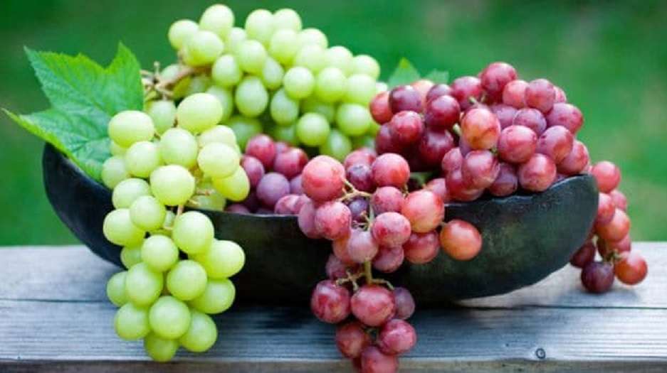 Rrushi zvogëlon nivelin e sheqerit në gjak dhe mbron nga sëmundja e diabetit