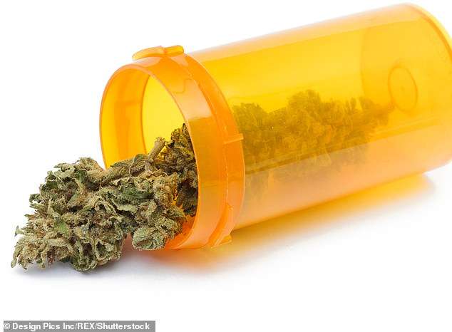 Legalizohet marihuana mjekësore në Florida, dy vjet pasi qytetarët votuan pro