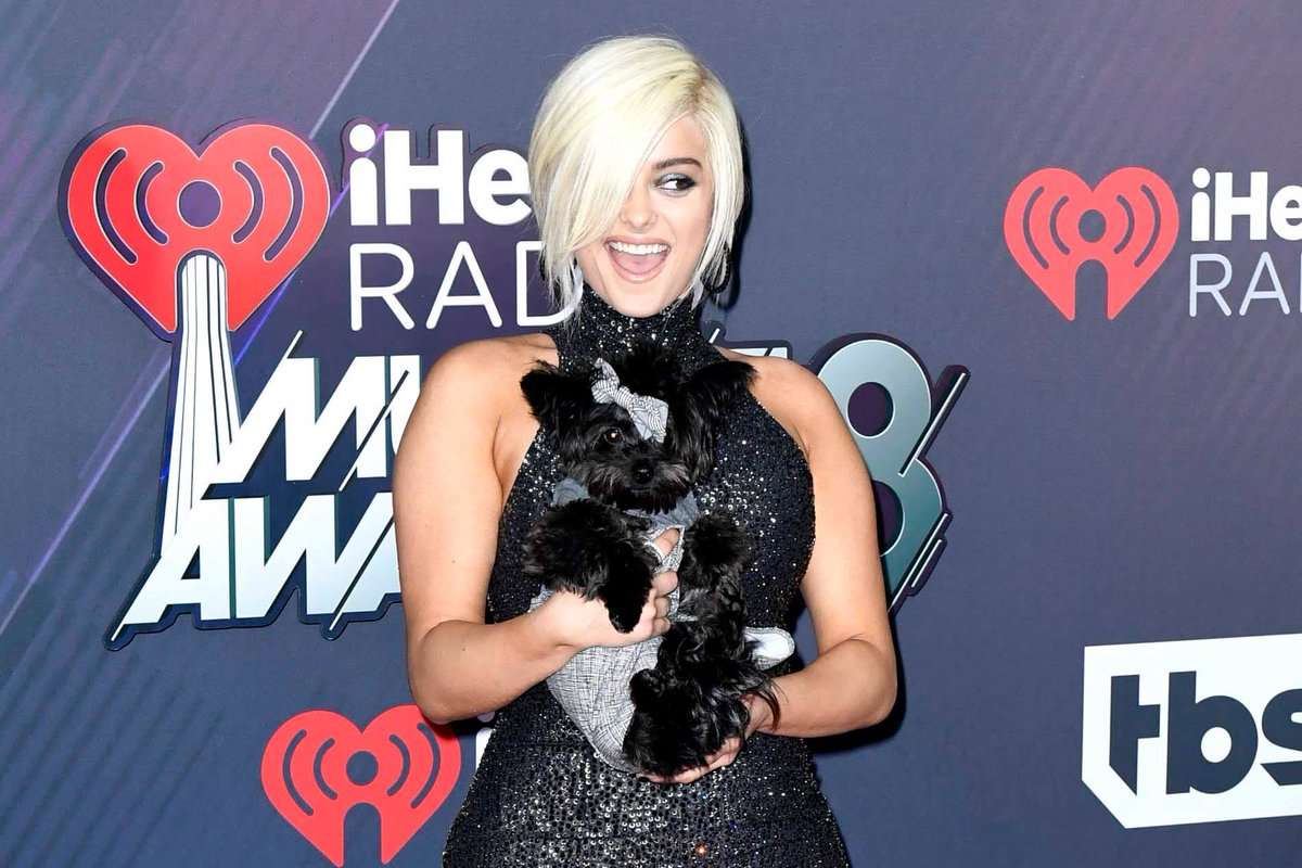 Bebe Rexha e do shumë qenin e saj (VIDEO)