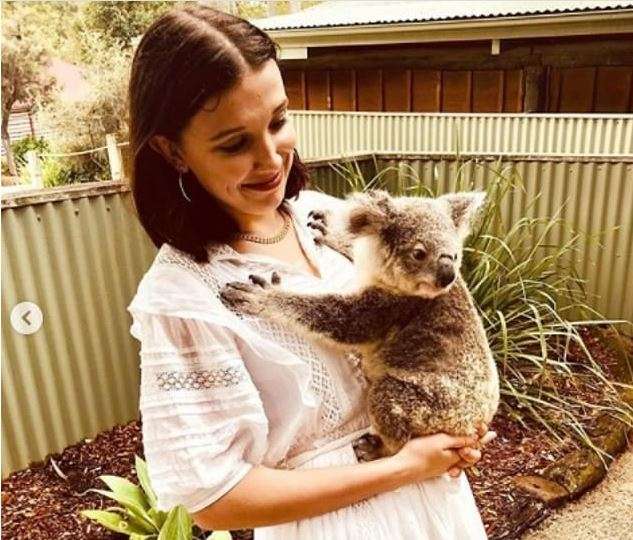 Millie Brown dashuron koalan
