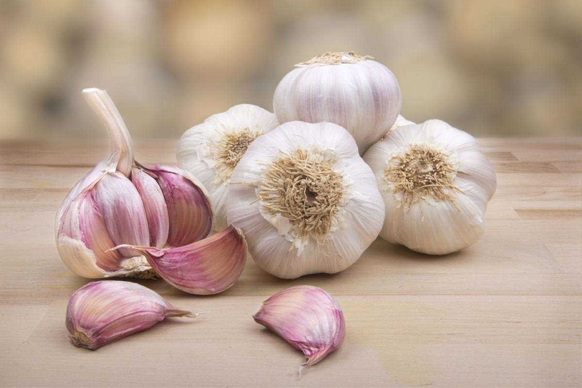 Hani hudhër për të jetuar më gjatë