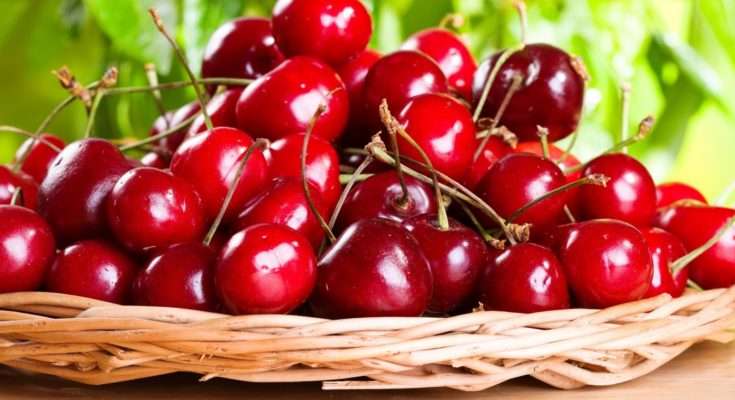 Këto fruta ndihmojnë në humbjen e peshës