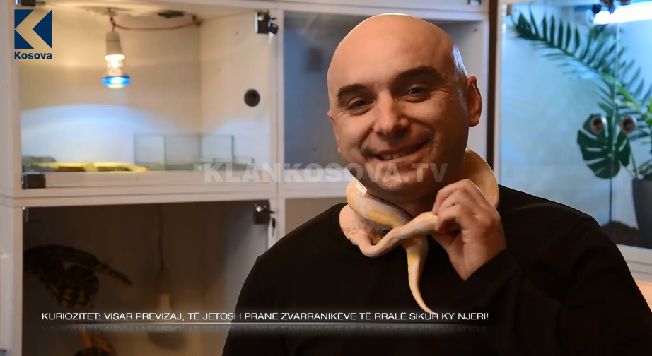 Të jetosh sikur Visar Previzaj, pranë zvarranikëve të rrallë (VIDEO)