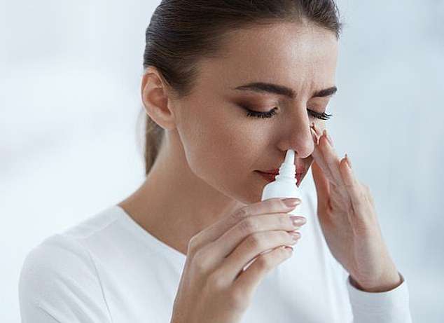 Sprej i hundës me ‘’hormonin e dashurisë’’, potencial për të luftuar alkoolizmin