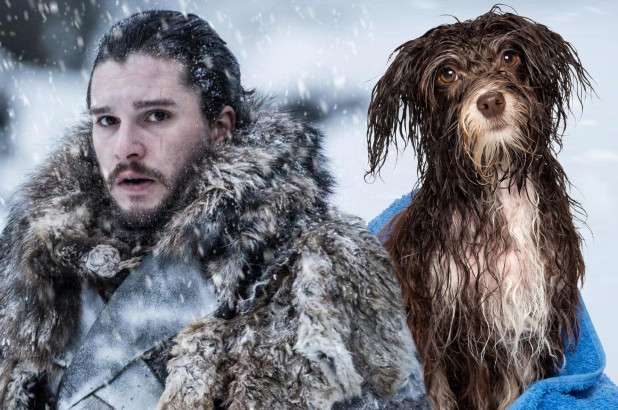 Kit Harington thotë se Jon Snow mbante erë qeni të lagur