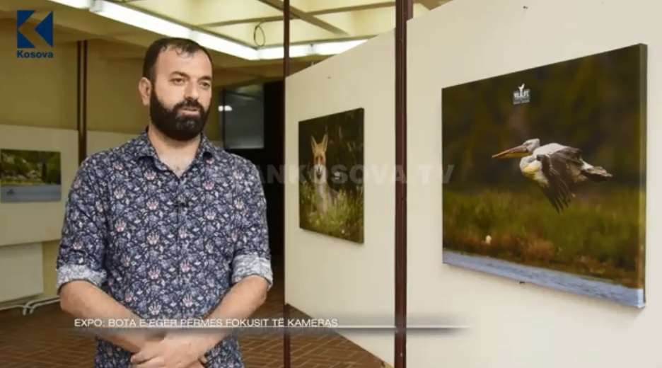 Bota e egër në fokusin e kamerës së Albanian WildLife Photographers (VIDEO)
