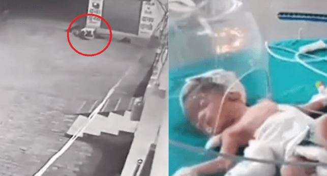 Qentë endacakë shpëtojnë foshnjën të cilën nëna e hodhi në kanal (VIDEO)