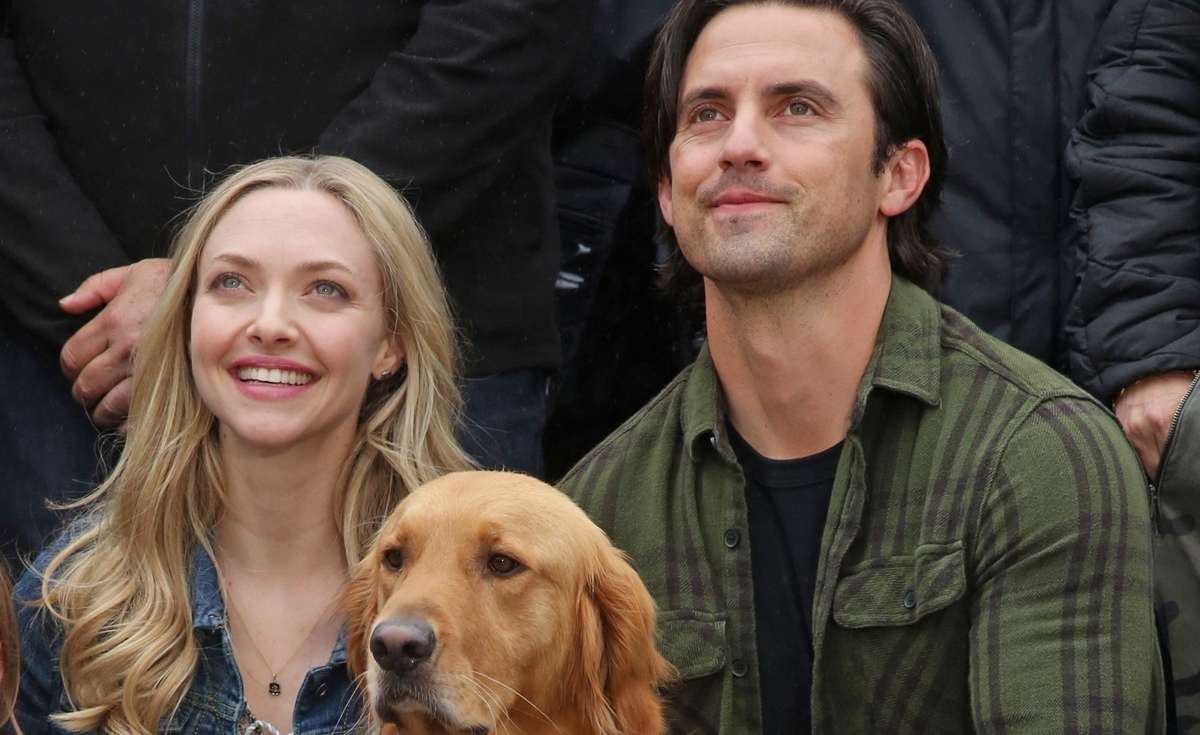 Amanda Seyfried dhe Milo Ventimiglia bashkë në premierën e filmit "The Art of Racing in the Rain"