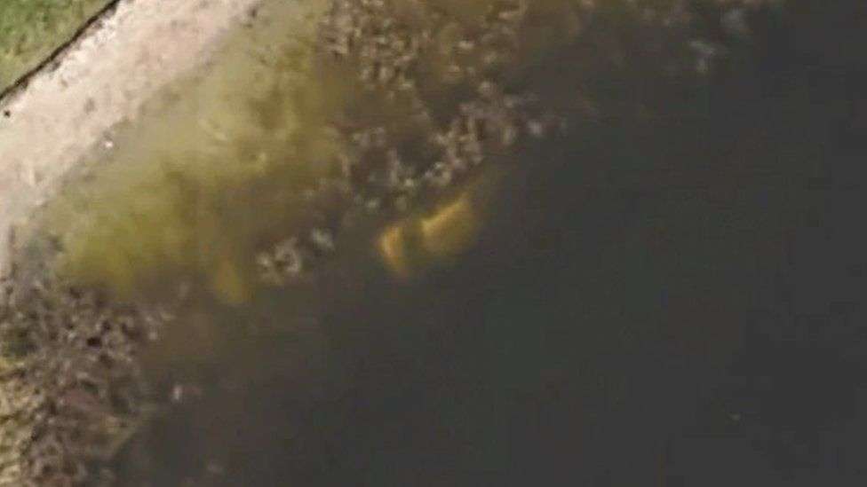 Gjendet me Google Earth trupi i një personi të zhdukur para 22 vitesh