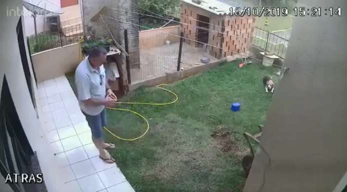 Hedh në erë oborrin në përpjekje për t’i vrarë insektet (VIDEO)
