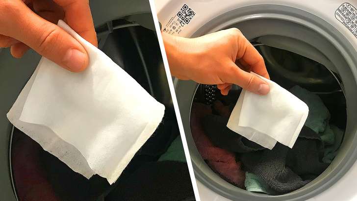 Pse duhet të vendosni palloma të lagura në makinën për larjen e rrobave?