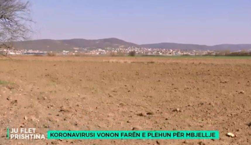 Koronavirusi vonon farën e plehun për mbjellje (VIDEO)