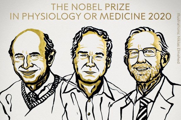 Çmimi Nobel në mjekësi u jepet shkencëtarëve që zbuluan virusin e Hepatitit C