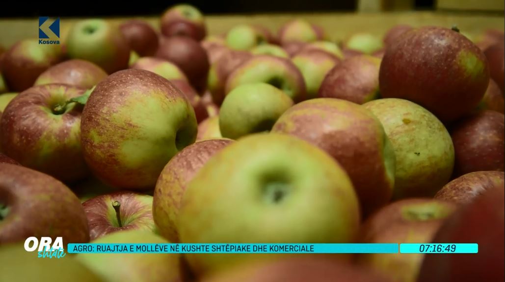 Ruajtja e mollëve në kushte shtëpiake dhe komerciale (VIDEO)