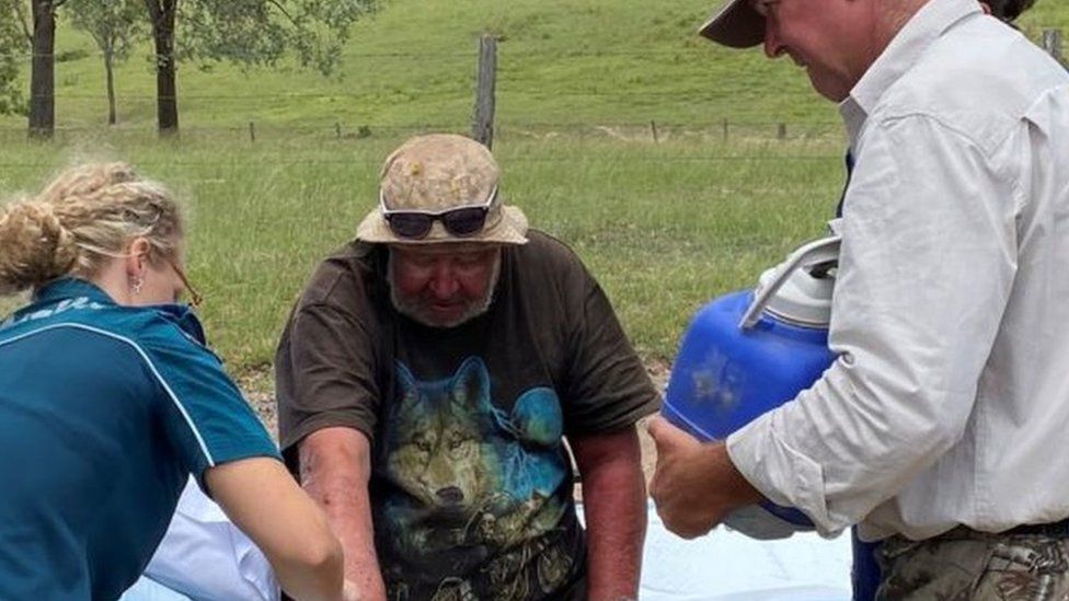 Australiani i zhdukur për 18 ditë 'mbijetoi me kërpudha'
