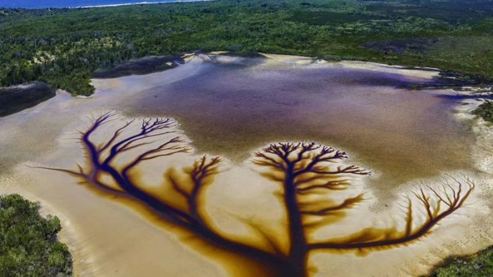 “Pema e jetës” kapet në një liqen në Australi