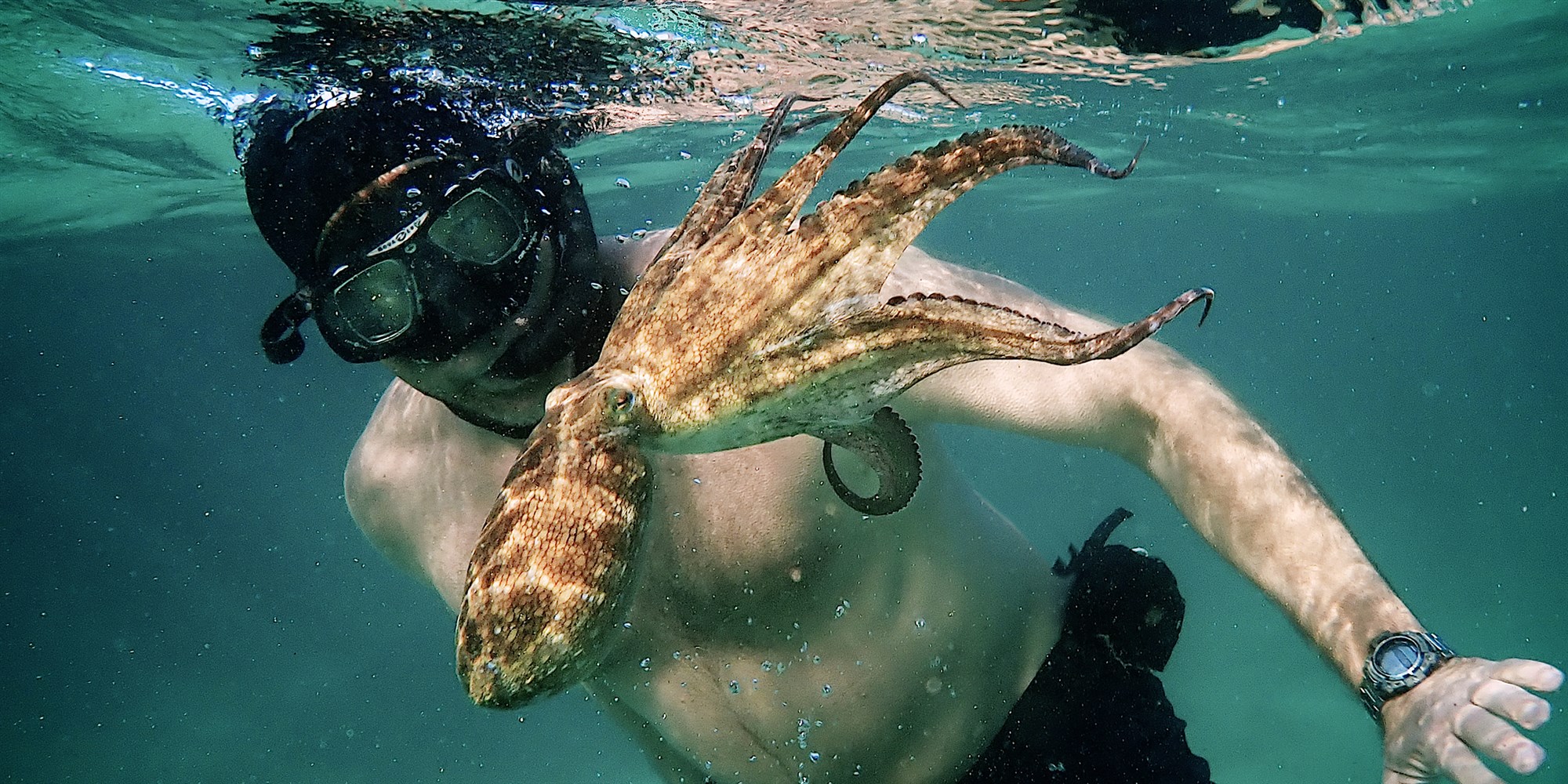 Ndahen edhe gjashtë çmime tjera në Oscars 2021, dokumentari më i mirë - "My Octopus Teacher"