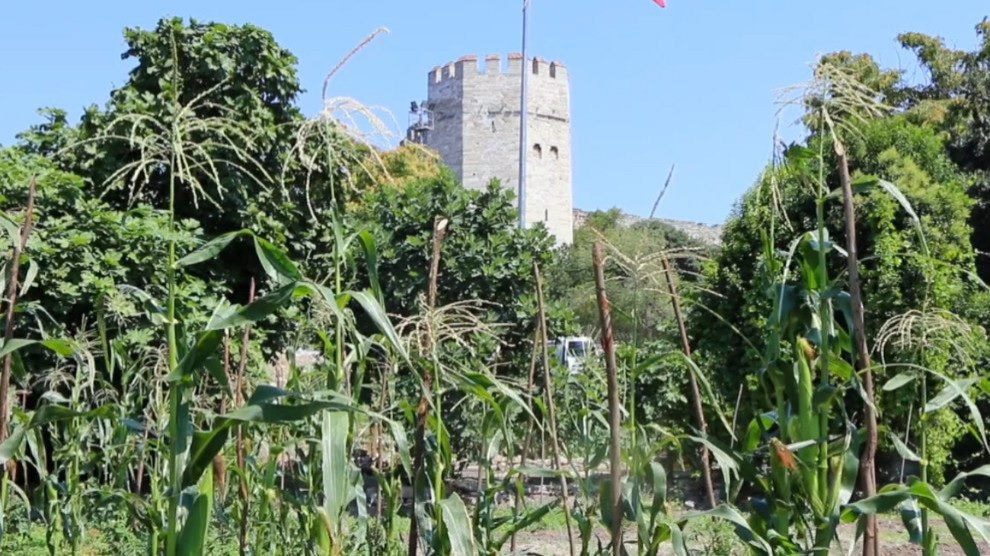 Kopshtet 1 mijë e 600 vjeçare dhe antike të Turqisë akoma në përdorim